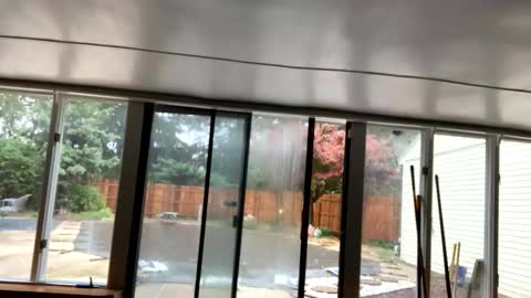 IntoTheWoodsWeGo online show from October 30, 2:18 pm