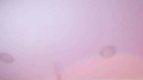 Snapshot of iris_joi chatting on February 18, 3:02 am Iirs online show from February 18, 3:02 am