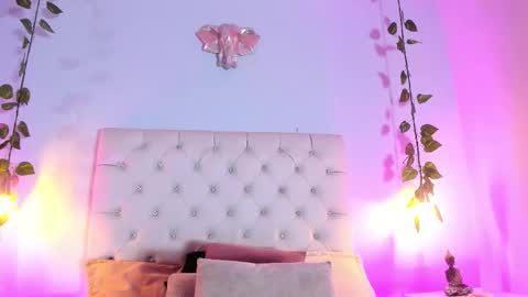   online show from November 5, 8:42 pm