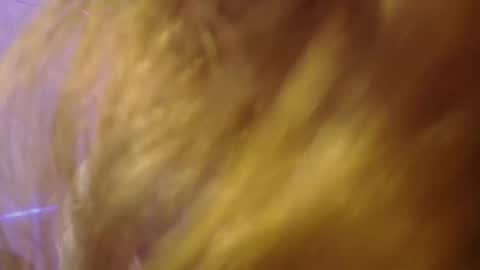 Isabella Rros online show from November 6, 1:56 pm