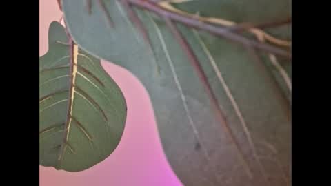 Snapshot of isabellacloverlove chatting on September 18, 4:58 am Isabella online show from September 18, 4:58 am