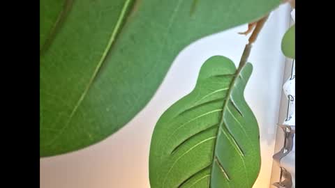 Snapshot of isabellacloverlove chatting on October 23, 11:14 pm Isabella online show from October 23, 11:14 pm