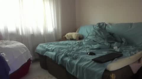 Issabelle online show from October 20, 5:08 am