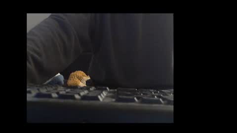 ital25usa online show from January 10, 10:06 am