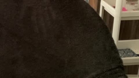 Snapshot of itsmylife021 chatting on October 22, 3:40 am Raje online show from October 22, 3:40 am