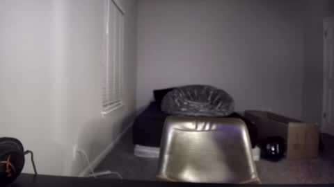 TARZAN online show from December 10, 6:33 am