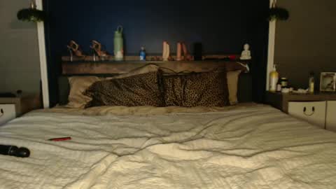 Snapshot of ivydreams chatting on December 24, 3:27 am Ivy Dreams online show from December 24, 3:27 am