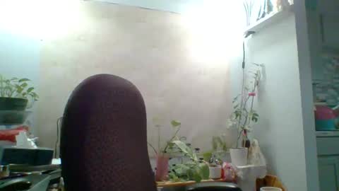 ivyjane3522 online show from May 7, 2:00 pm