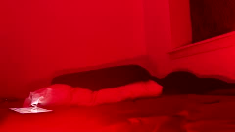 Snapshot of j4ckoff chatting on November 22, 5:50 am j4ckoff online show from November 22, 5:50 am