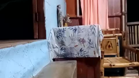 j828413 online show from October 27, 11:25 am