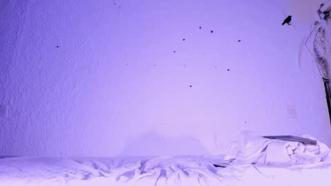 j_martony online show from November 5, 2:17 pm