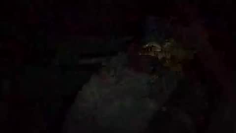 Snapshot of jacobledyit21 chatting on October 20, 2:56 am Shakey j online show from October 20, 2:56 am