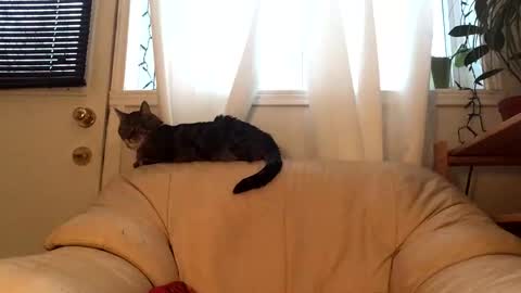 Jacob online show from February 17, 9:54 pm