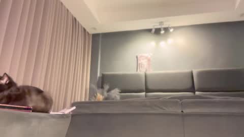 Snapshot of jacolandia chatting on February 23, 6:56 pm jacolandia online show from February 23, 6:56 pm
