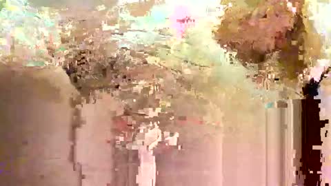 jadedmoshier online show from November 28, 9:01 am