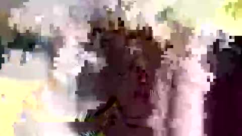 jadinolfi7070 online show from December 4, 8:45 am