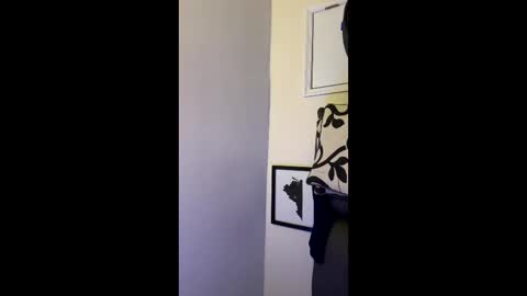 Allen online show from December 14, 5:13 am