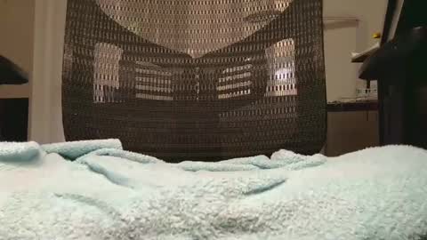 jakdiks online show from September 29, 6:35 pm