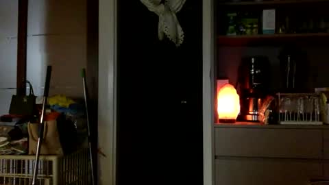 jamesmo820913 online show from October 25, 3:58 am