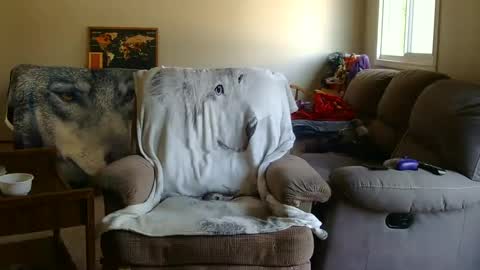 jameswolf777 online show from September 9, 5:34 pm