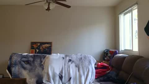 jameswolf777 online show from September 13, 11:48 pm