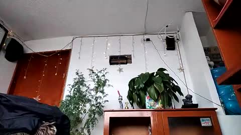 Snapshot of janariivera1 chatting on February 11, 2:44 pm janariivera1 online show from February 11, 2:44 pm