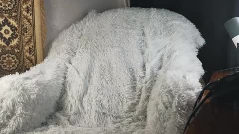 K online show from January 15, 5:05 pm