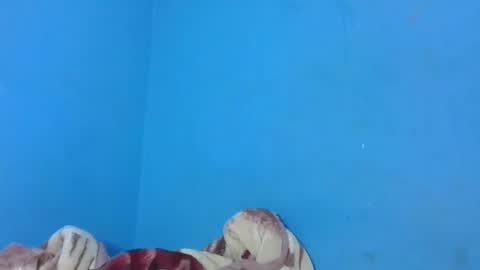 JarevavaX online show from January 25, 2:58 pm