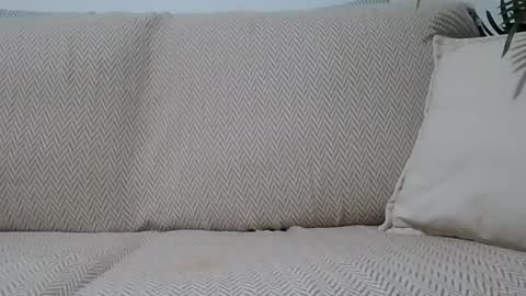 Snapshot of jasmin6501 chatting on October 11, 7:12 pm Ella0105 online show from October 11, 7:12 pm