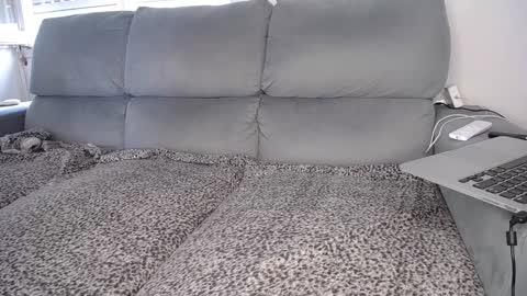 Javier  online show from December 7, 4:47 pm