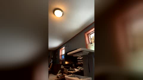 Jaws  online show from January 17, 4:54 pm