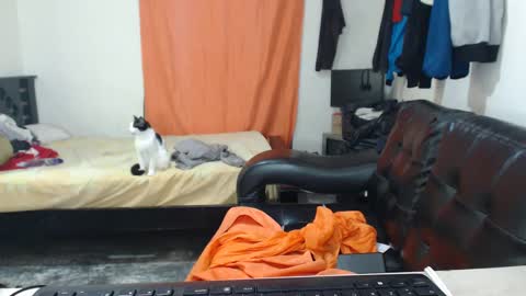 jaxivh16 online show from October 11, 3:17 am