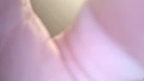 Snapshot of jay56777543234 chatting on February 8, 11:24 am jay56777543234 online show from February 8, 11:24 am