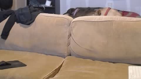 O F   jay short786 online show from February 17, 7:53 pm