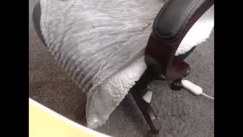 sissy gurl online show from October 27, 10:14 pm