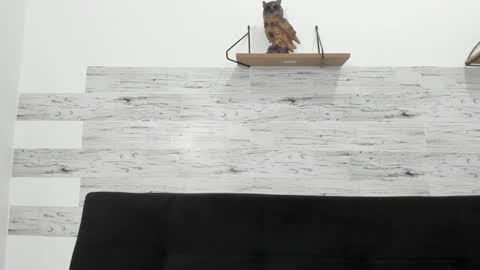 Jaycreedd online show from October 29, 4:15 am