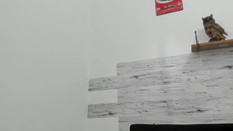 Jaycreedd online show from November 16, 5:51 pm