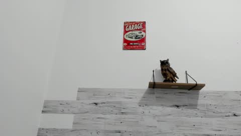 Jaycreedd online show from November 21, 3:27 am