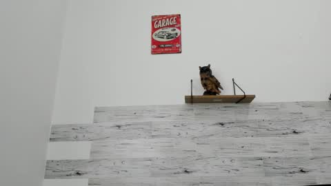 Jaycreedd online show from March 3, 5:08 pm