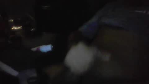 jaywulf22 online show from January 17, 5:23 am