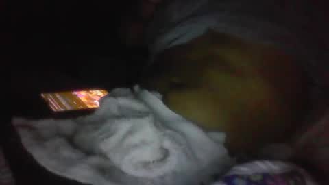 jaywulf22 online show from January 19, 5:11 am