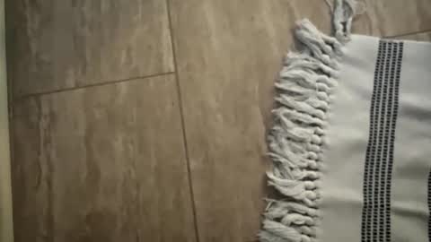 jbigblue online show from January 11, 1:49 pm