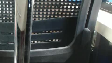 Snapshot of jc200000 chatting on December 23, 9:08 pm jc200000 online show from December 23, 9:08 pm