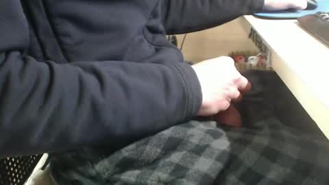 Snapshot of jc200000 chatting on January 29, 6:07 pm jc200000 online show from January 29, 6:07 pm