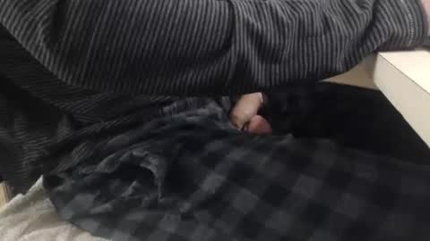 Snapshot of jc200000 chatting on November 3, 6:31 pm jc200000 online show from November 3, 6:31 pm