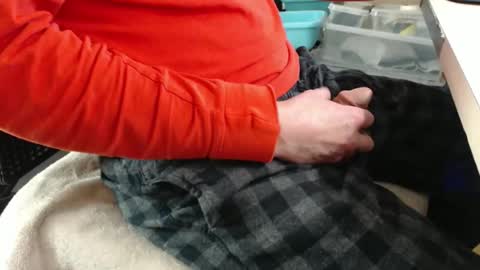 Snapshot of jc200000 chatting on December 17, 9:54 pm jc200000 online show from December 17, 9:54 pm