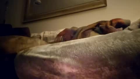 Jcramirez1975s online show from December 21, 3:03 am
