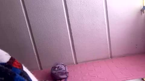 jdsj1a873165 online show from March 18, 3:04 pm