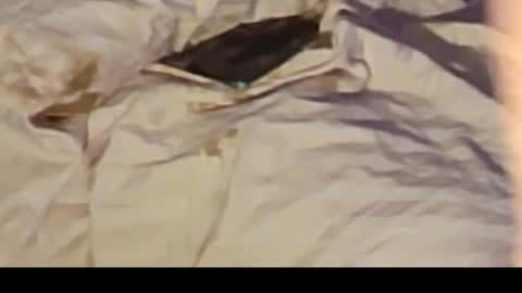 Jennie bttmcd online show from February 14, 12:36 pm