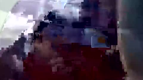 jeremymeyerprofessional online show from February 16, 6:26 pm